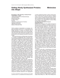 Getting Newly Synthesized Proteins Minireview into Shape