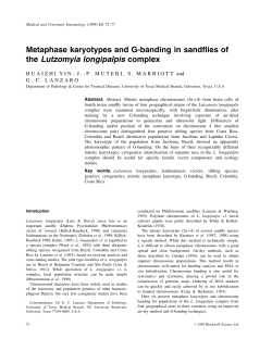 Metaphase karyotypes and chromosome G-banding in