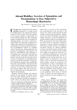 Adrenal Medullary Secretion of Epinephrine and Norepinephrine in
