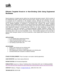 Efficient Targeted Knock-in in Non-Dividing Cells Using Engineered