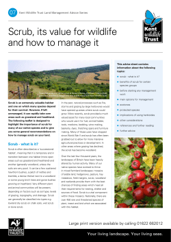 Scrub, its value for wildlife and how to manage it