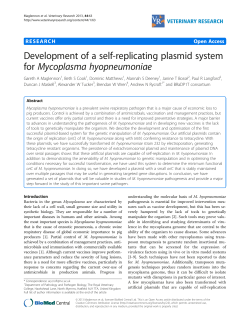 Development of a self-replicating plasmid system forMycoplasma