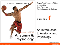 ch_01_M lecture_presentation