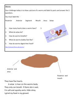 They have five hearts. A setae is hear on the