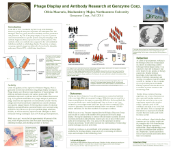 Powerpoint template for scientific posters (Swarthmore College)