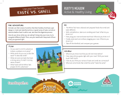 Taste vs Smell - Scouting Life