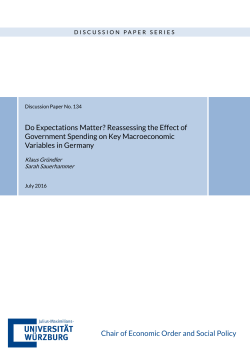 Do Expectations Matter? Reassessing the Effect of Government