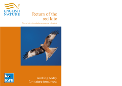Return of the red kite - Natural England publications