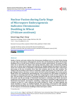 Nuclear Fusion during Early Stage of Microspore Embryogenesis