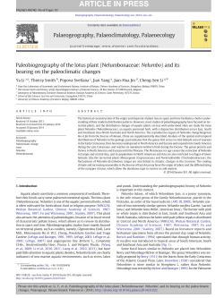 Paleobiogeography of the lotus plant (Nelumbonaceae: Nelumbo