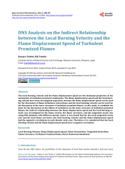 DNS Analysis on the Indirect Relationship between the Local