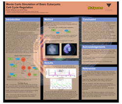 Monte Carlo Simulation of Basic Eukaryotic Cell Cycle Regulation