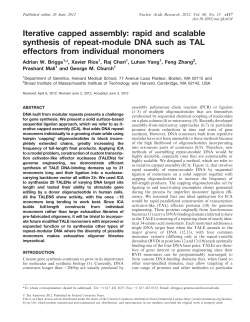 rapid and scalable synthesis of repeat