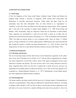 2.0 REVIEW OF LITERATURE 2.1 About fungi Of the five kingdoms