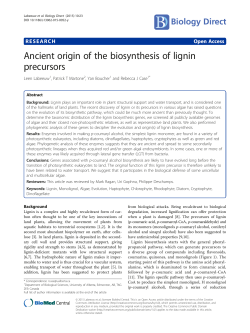 Ancient origin of the biosynthesis of lignin precursors