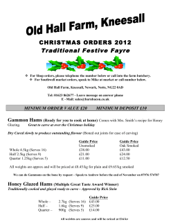 Traditional Festive Fayre