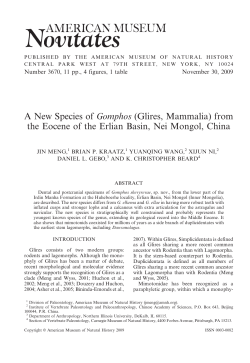 A New Species of Gomphos (Glires, Mammalia) from