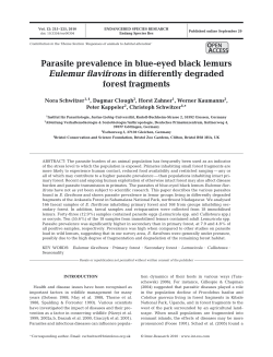 Parasite prevalence in blue-eyed black lemurs Eulemur flavifrons in