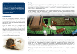 Important Information