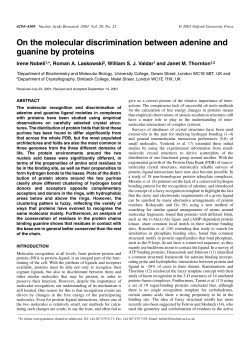 On the molecular discrimination between adenine and guanine by