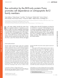 Bax activation by the BH3-only protein Puma promotes cell