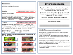 Interdependence - Wright Robinson College