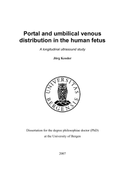 Portal and umbilical venous distribution in the human fetus