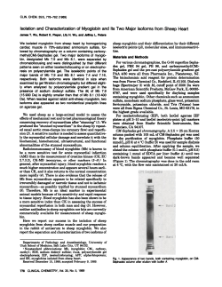 Isolationand Characterizationof Myoglobinand