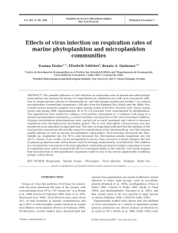 Effects of virus infection on respiration rates of marine phytoplankton