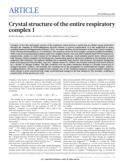 Crystal structure of the entire respiratory complex I