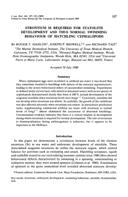 strontium is required for statolith development and thus normal