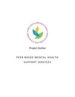 Project Outline PEER BASED MENTAL HEALTH SUPPORT