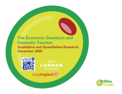 The Economic Downturn and Domestic Tourism