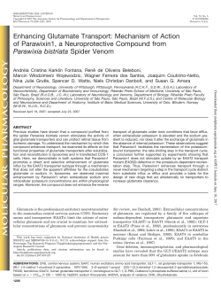 Enhancing Glutamate Transport: Mechanism of Action of Parawixin1