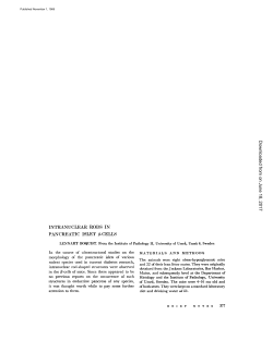 INTRANUCLEAR RODS IN PANCREATIC ISLET 13
