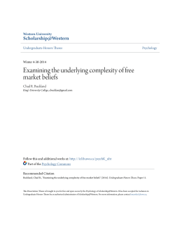 Examining the underlying complexity of free market beliefs