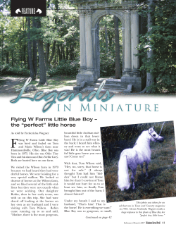 Flying W Farms Little Boy Blue