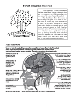 Parent Education - Tonewood Family Music