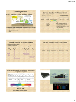 Photosynthesis: