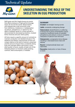 Understanding the Role of the Skeleton in Egg - Hy