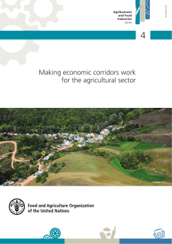 Making economic corridors work for the agricultural sector