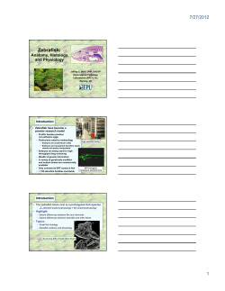 Adobe PDF - CL Davis Foundation