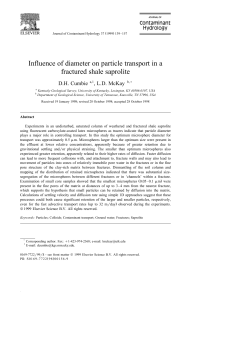 Influence of diameter on particle transport in a fractured shale saprolite