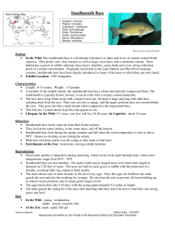 Smallmouth Bass - Rosamond Gifford Zoo