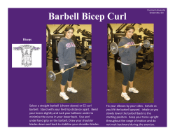 Barbell Bicep Curl - Furman University