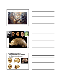 Chapter 12: The Origins, Evolution, and Dispersal of Modern People