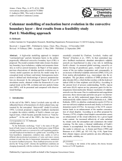Columnar modelling of nucleation burst evolution in the convective
