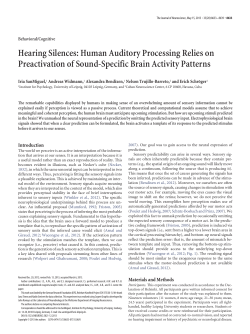 Hearing Silences: Human Auditory Processing Relies on