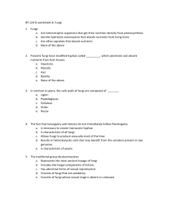 BY 124 SI worksheet 6: Fungi 1. Fungi: a. Are heterotrophic