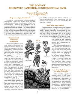 The Bogs Information Guide - Roosevelt Campobello International